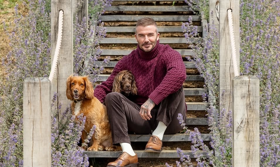 OKFUN VIP và phong cách thời thượng ‘giàu ngầm’ của David Beckham - hình ảnh - okfun.vn OKFUN VIP và phong cách thời thượng ‘giàu ngầm’ của David Beckham - hình ảnh - okfun.vn